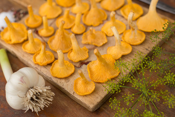 Forest mushrooms chanterelles on a wooden board prepared for cooking closeup