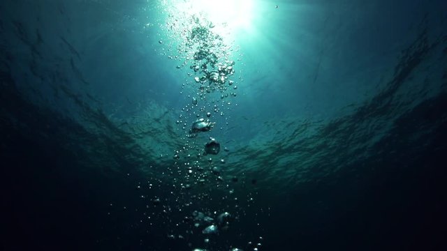Bubbles rise in deep ocean