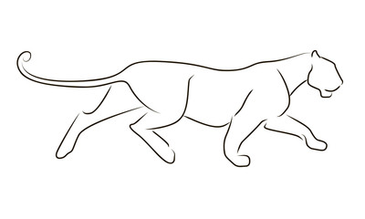 Running black line leopard on white background. Hand drawing vector graphic panther.