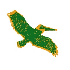illustrated bird