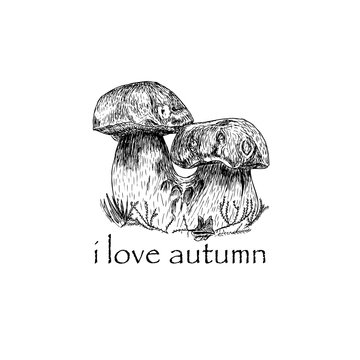 Mushroom hand drawn sketch vector illustration on the transparent background