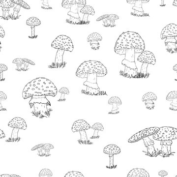 Seamless pattern with hand drawn mushrooms on the transparent background