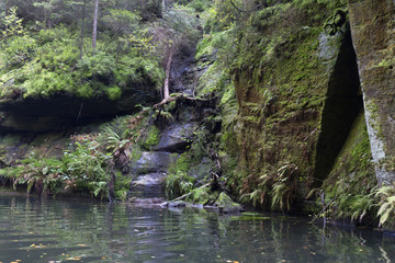 Fototapeta premium Wild autumn Landscape around the Creek Kamenice in the Czech Switzerland with Sandstone Boulders, Czech Republic