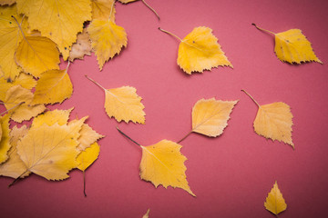 Naklejka na ściany i meble Yellow Autumn leaves over red paper