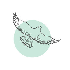 Sketch bird. Vector illustration