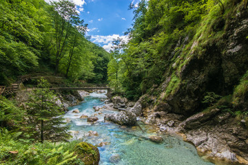 Tolmin Gorges