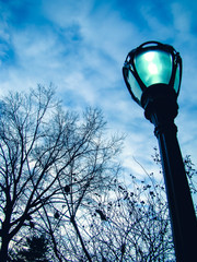 Central Park - New York