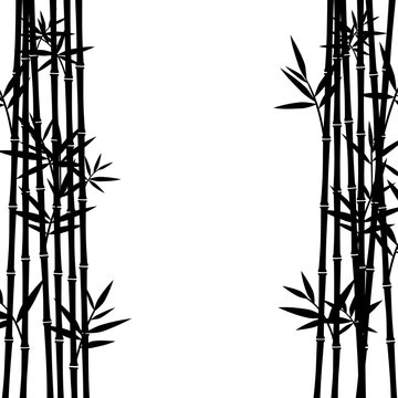 Bamboo background. Vector
