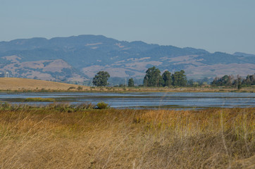 Wetlands with water an birds and the mountains in the background