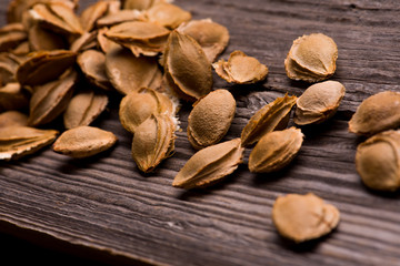 apricot pits close-up