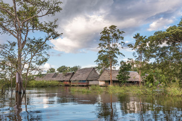Fototapeta na wymiar Row of thatch roof huts along the Amazon river