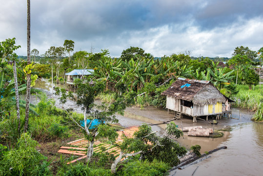 Wooden shack with thatch roof along Amazon river