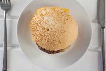 Hamburger served in plate