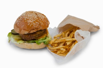 Close-up of hamburger and french fries in take way bag