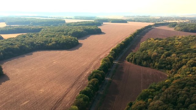 Aerial view  near Belsk, Ukraine. A vast city believed to be the Scythian capital Gelonus described by Herodotus