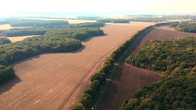 Aerial view  near Belsk, Ukraine. A vast city believed to be the Scythian capital Gelonus described by Herodotus