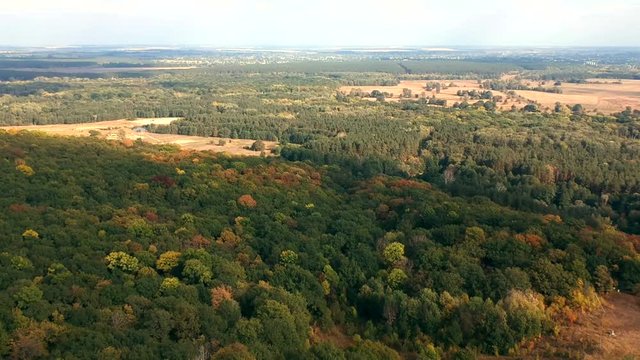 Aerial view  near Belsk, Ukraine. A vast city believed to be the Scythian capital Gelonus described by Herodotus