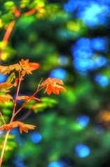 Images of fall aren't always of colorful leaves!....Fall images in Farmer John's fields...