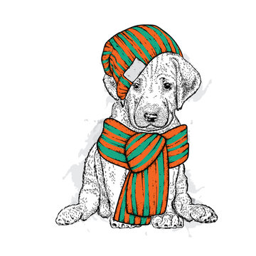 A beautiful dog in a knitted hat and scarf. Cute puppy. Vector illustration for a postcard or a poster, print for clothes.