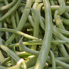 Green Beans