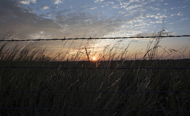 Barbed Wire Sunset