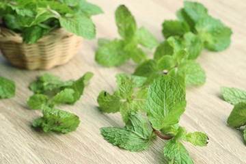 Mint leaves