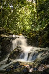 Fototapeta premium hidden oasis