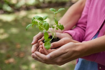 Midsection of woman and daughter holding seedling in cupped