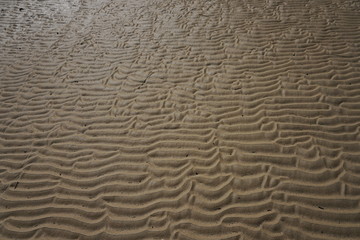 Wave Sand beach in the morning with shadow