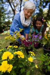 Granddaughter and grandmother by potted plants
