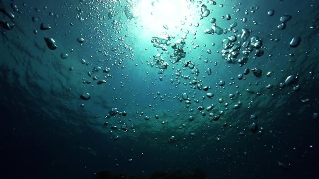 Low angle, scuba bubbles rise in ocean