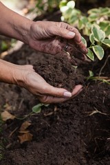 Cropped hands of senior woman holding dirt