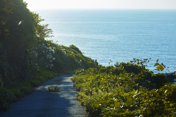 海の見える坂道