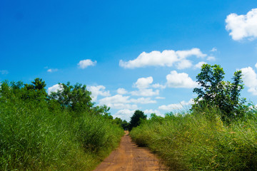 Dirt road The sky is covered with white clouds.
