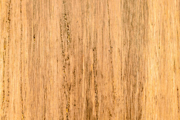 Fototapeta na wymiar Fossilized Bamboo Background