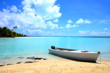 plage paradisiaque sable blanc et cocotiers mataiva polynésie française tuamotu tahiti