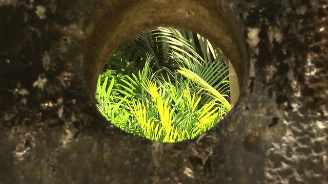 Zoom out, stone money on lush island of Yap