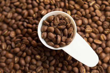 specialty coffee beans in the white plastic spoon ready to making a cup of coffee.