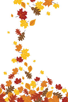 Bright Falling Fall Autumn Leaves Vertical Illustration 1