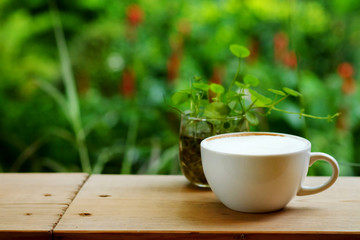 Hot latte coffee with full white foam in withe cup on wooden table with green tropical area garden background.have some space for write wording