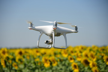 Phantom drone and sunflower yellow field sky