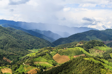 Green Terraces rice field, a beautiful natural beauty on mountain in Nan,Khun Nan  Rice Terraces, Boklua  Nan Province, Thailand