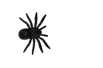 black spider toy