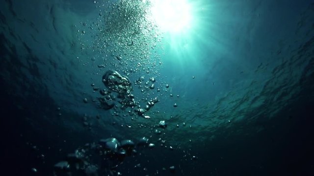 Low angle, bubbles rise in open ocean
