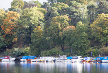 Trees and boats reflecting in the water. Warm green and yellow colors