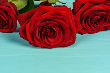 Decoration of beautiful red roses on a blue background close-up