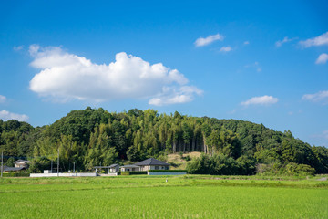 田園風景