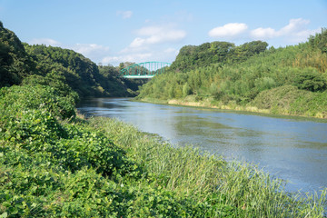 川岸の風景