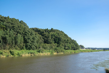 Fototapeta na wymiar 川岸の風景
