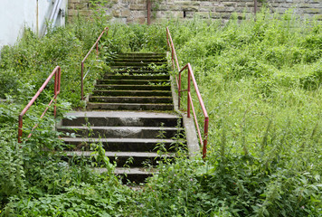 Überwachsene Treppe an einem Hang